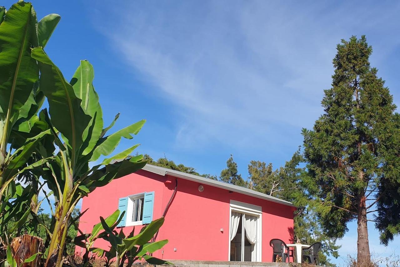 Au Coeur Des Plantations Guest House La Possession Ngoại thất bức ảnh