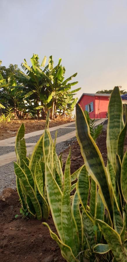 Au Coeur Des Plantations Guest House La Possession Ngoại thất bức ảnh