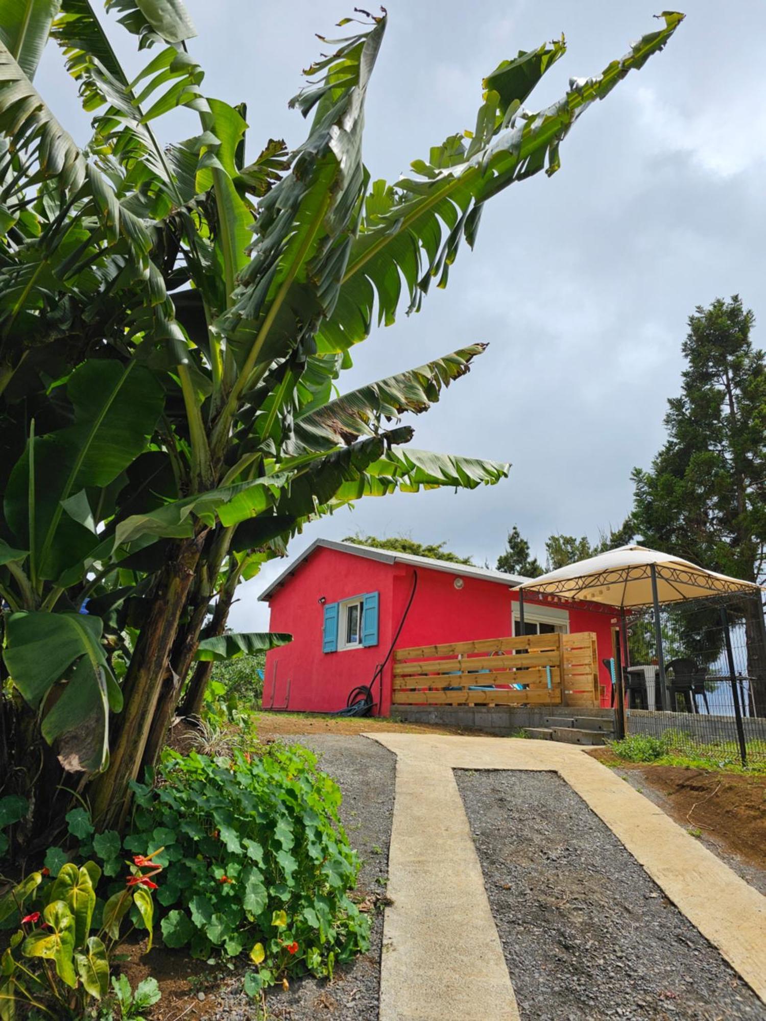 Au Coeur Des Plantations Guest House La Possession Ngoại thất bức ảnh