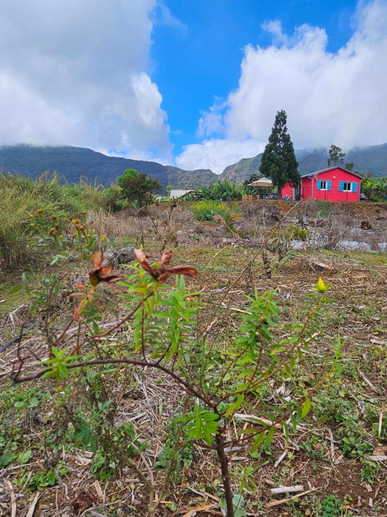 Au Coeur Des Plantations Guest House La Possession Ngoại thất bức ảnh