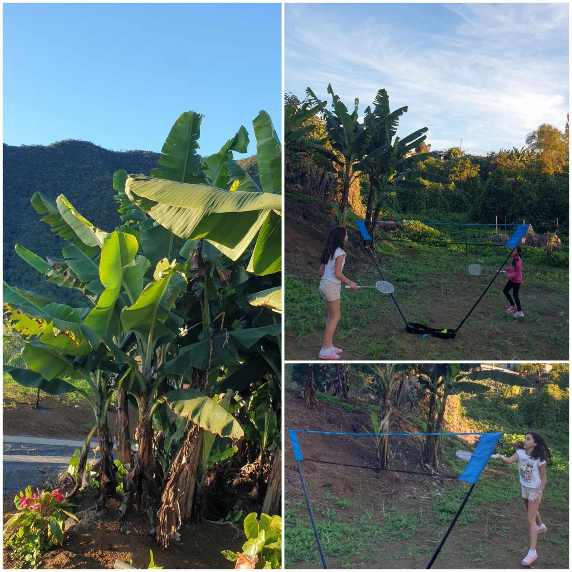 Au Coeur Des Plantations Guest House La Possession Ngoại thất bức ảnh